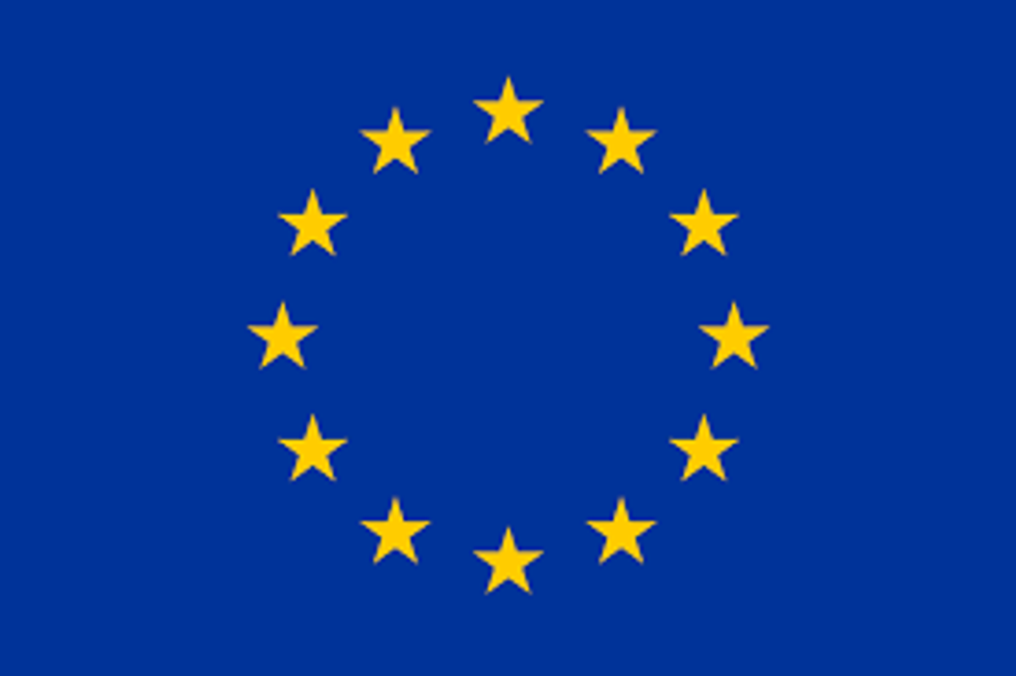 Wybory europejskie – czy warto być w Unii?