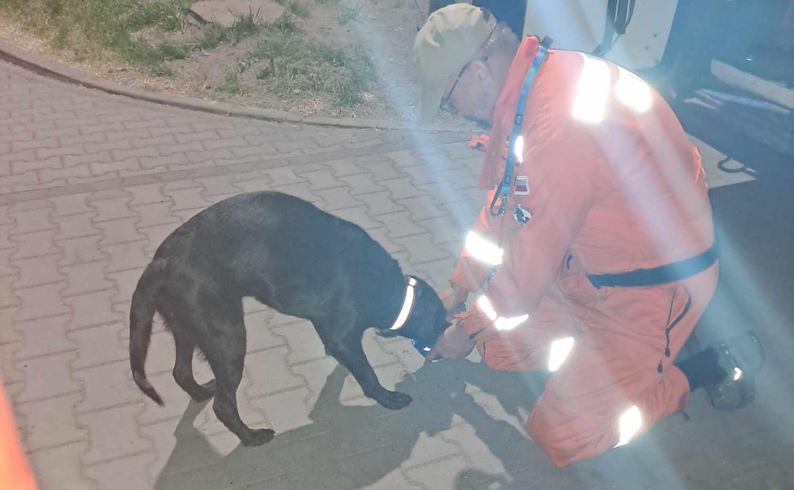 Zaginiona kobieta odnaleziona przez drużynę OSP JRS Legionowo