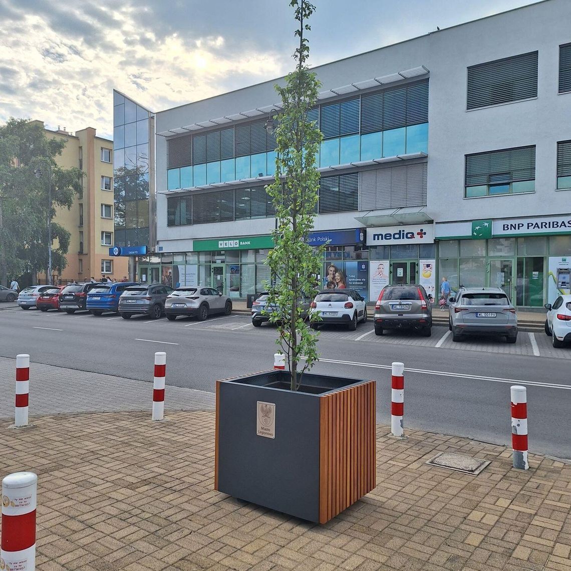 Zielona transformacja ul. Piłsudskiego? Zielona transformacja ul. Piłsudskiego?